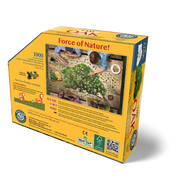 Back of oak tree puzzle box