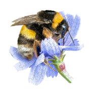 Jigsaw puzzle of a bee on a flower with a white background