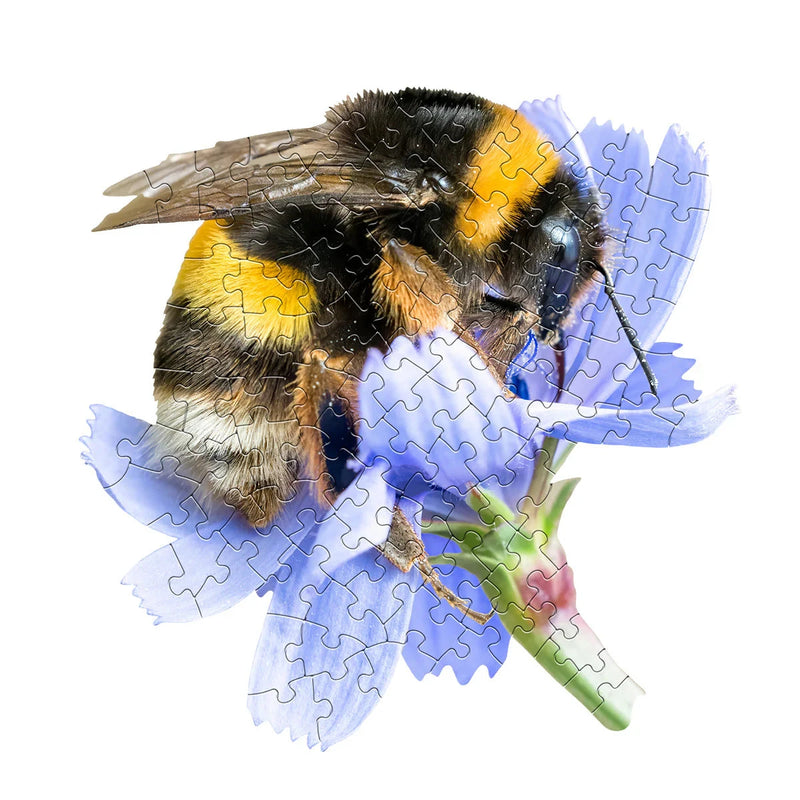 Jigsaw puzzle of a bee on a flower with a white background