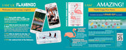 Flamingo-themed educational material with text and images on a blue background