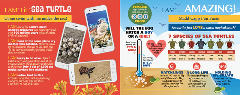 Educational poster about sea turtles with text and images on a red and blue background.