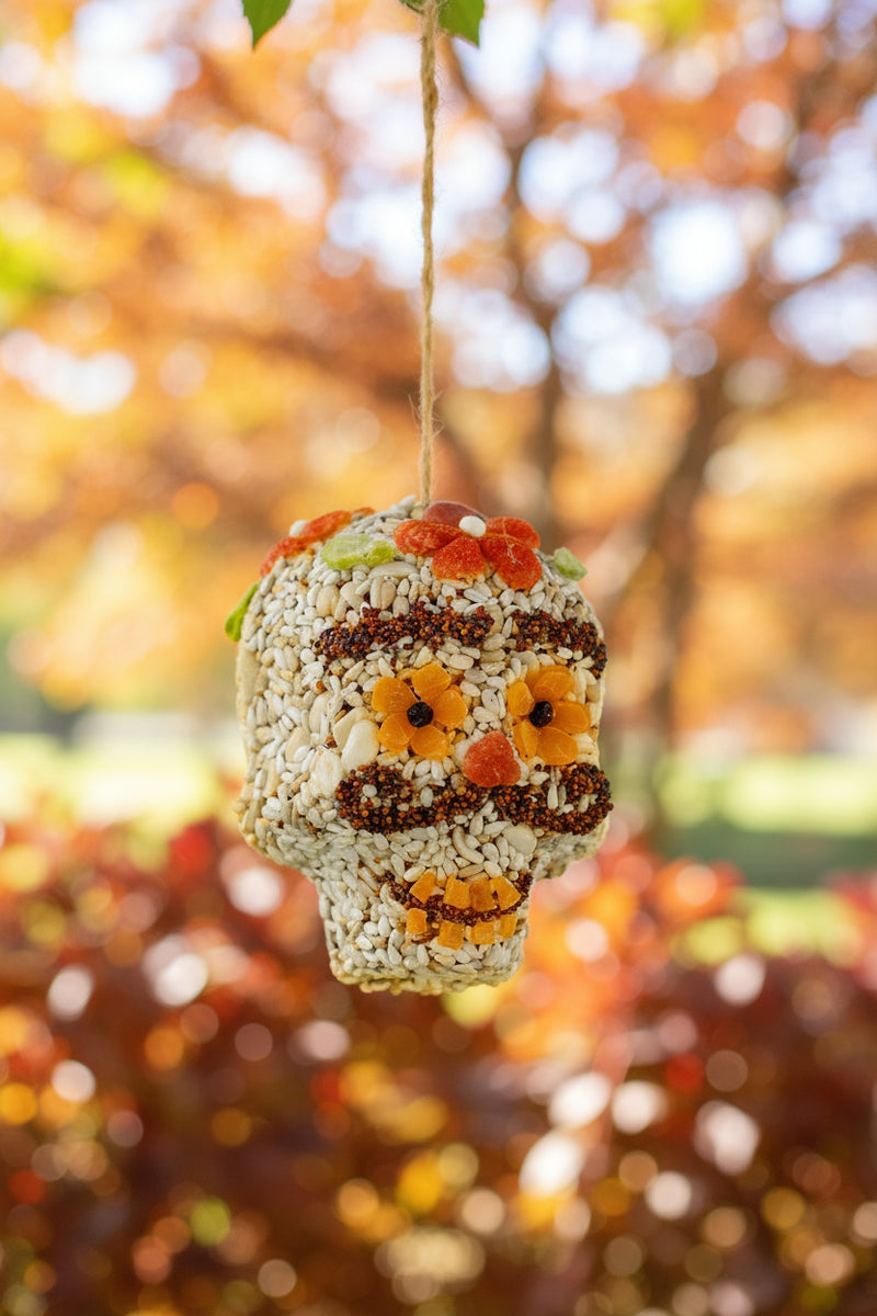 Seed Skull Bird Treat