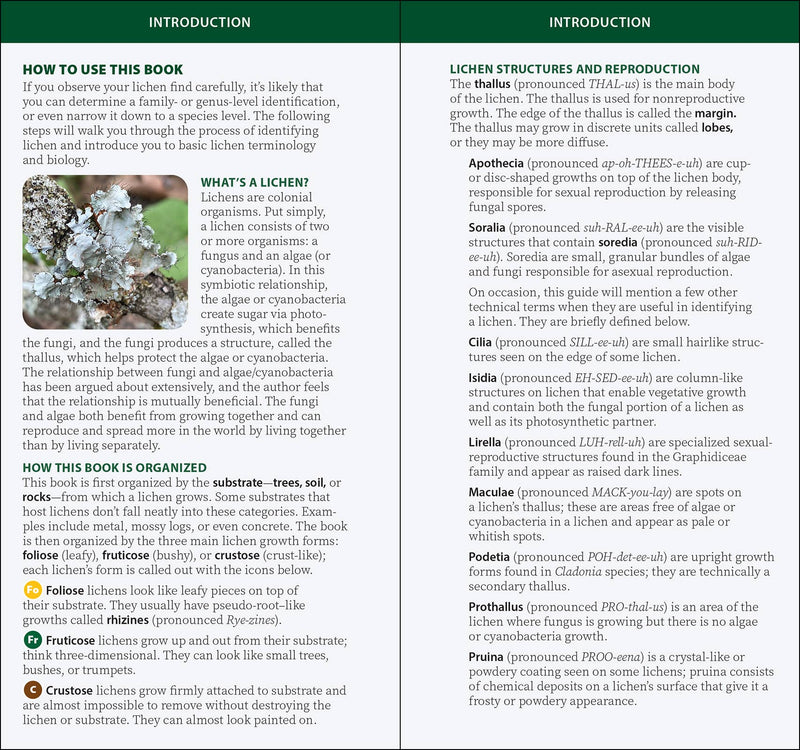 Common Lichens of the Eastern United States Quick Guide sample pages