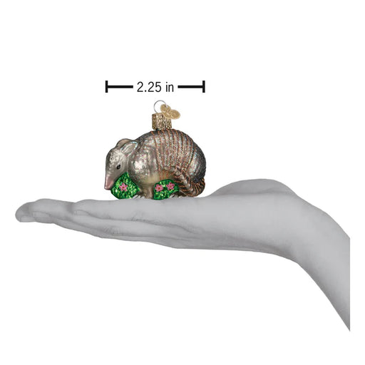 Armadillo size scale
