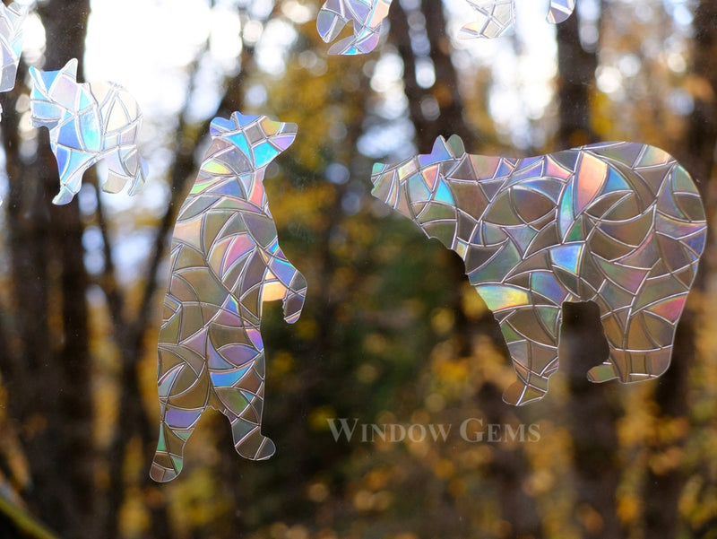 variety of black bear widow gems in use