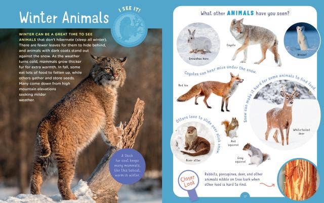 Backpack Explorer: Winter Walk
sample pages