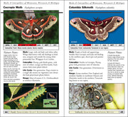 Moths & Caterpillars of Minnesota, Wisconsin & Michigan
sample pages