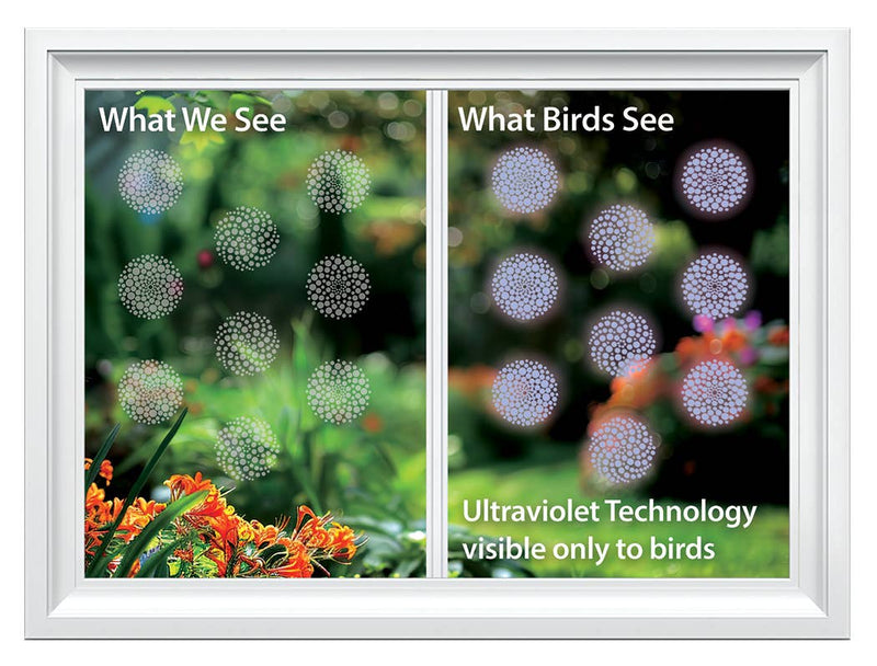 Modern Dots - UV Window Performance Series Decals