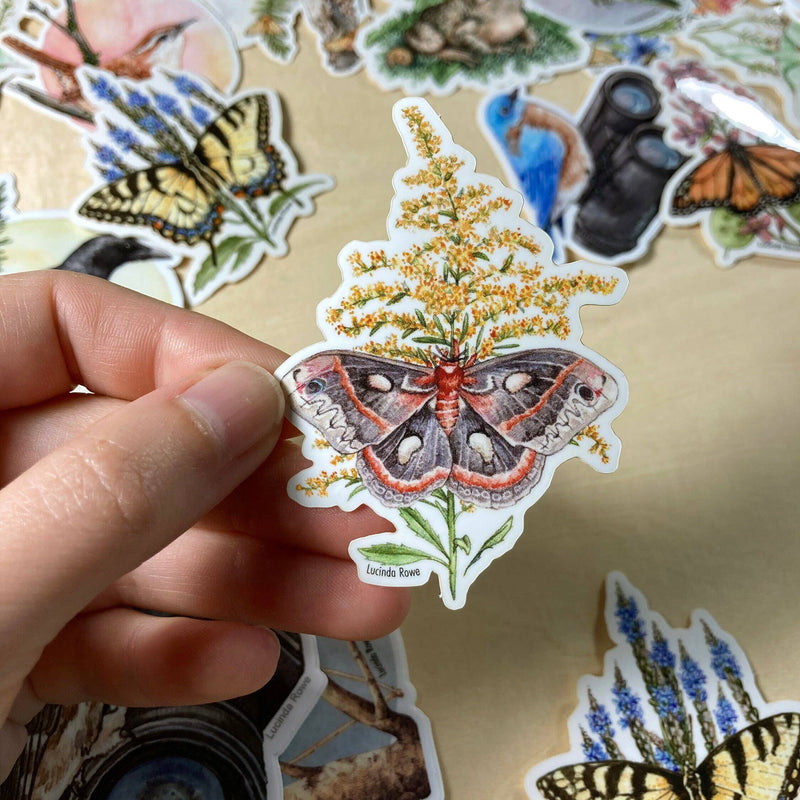 Sticker - Cecropia Moth On Goldenrod