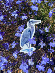 Great Blue Heron Sticker