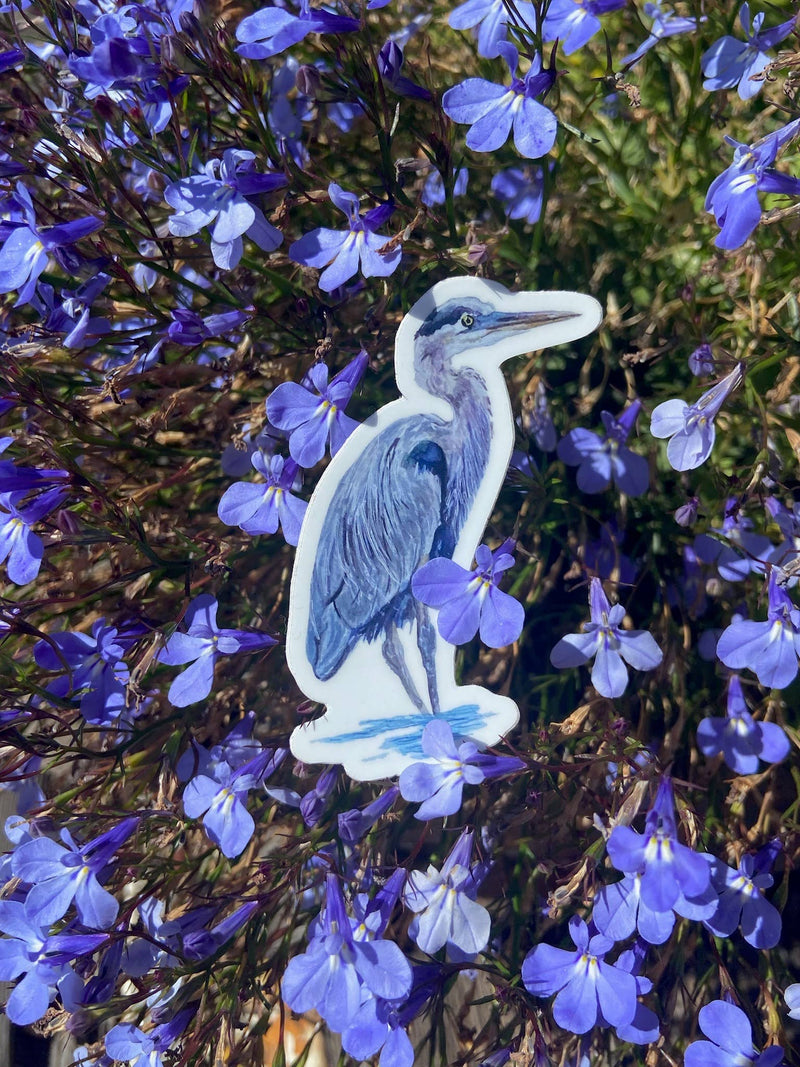 Great Blue Heron Sticker