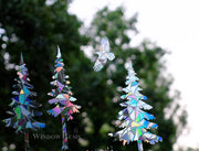Northern Forest Mix Window Clings