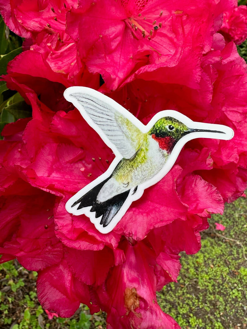 Ruby-throated Hummingbird Sticker