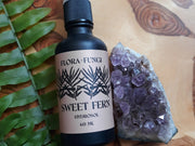 Sweet Fern Hydrosol with fern and amethyst