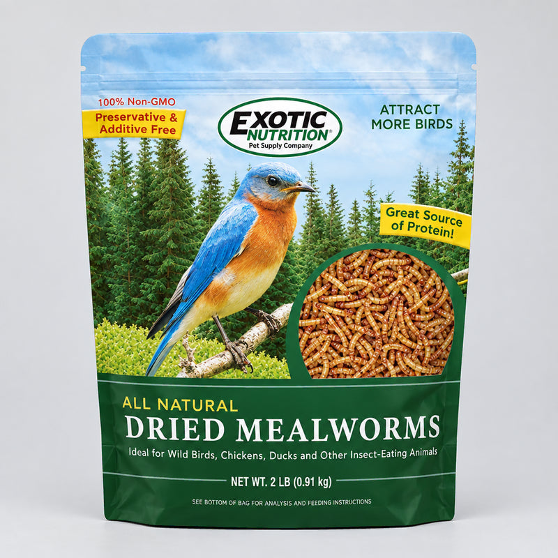 Dried Mealworms - 2lbs