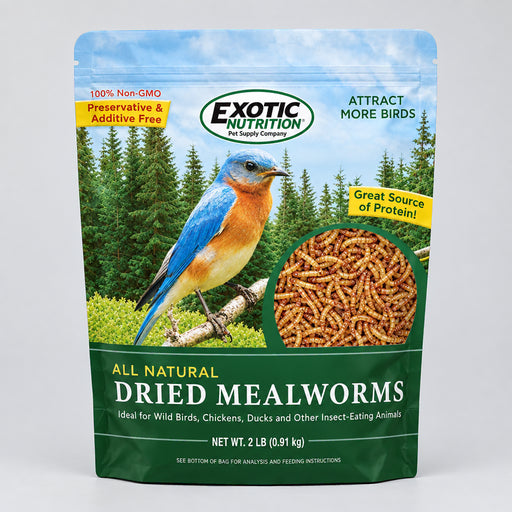 Dried Mealworms - 2lbs