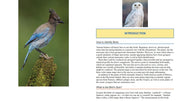 Bird book with a blue and gray bird on a branch and text on a yellow background