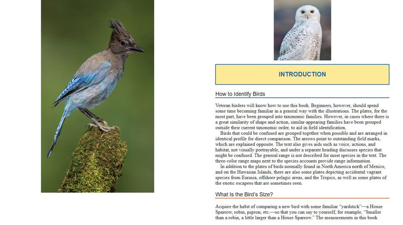 Bird book with a blue and gray bird on a branch and text on a yellow background