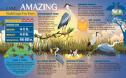 Madd Capp Fun Facts poster about herons includes educational information and illustrations.