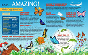 Educational poster about butterflies with colorful illustrations and text.