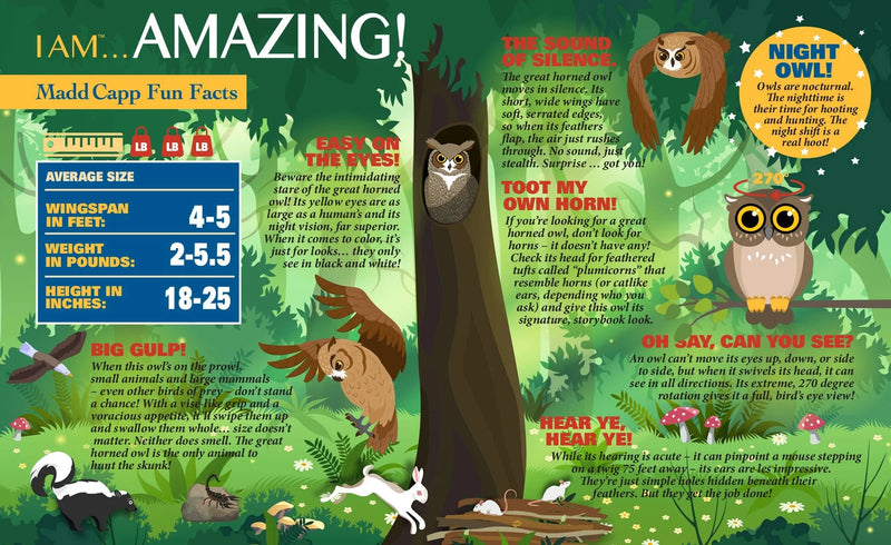 Educational poster about owls with fun facts and illustrations on a green background