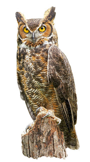 Fully assembled puzzle featuring great horned owl perched on a branch with a white background