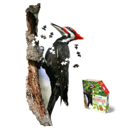 Partially assembled jigsaw puzzle featuring Pileated Woodpecker