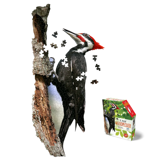 Partially assembled jigsaw puzzle featuring Pileated Woodpecker
