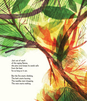 Pine Cone Regrown Picture Book
tree branches on fire