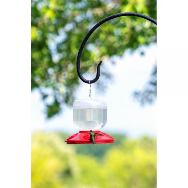 Songbird Essentials Dr. JB Hummingbird Feeder Jar - Thumbnail 3