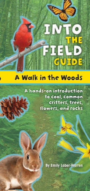 Front cover for Walk in the Woods by Emily Laber-Warren