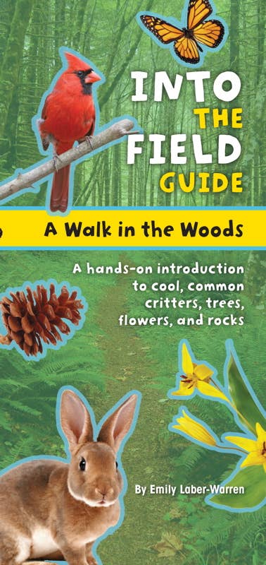 Front cover for Walk in the Woods by Emily Laber-Warren