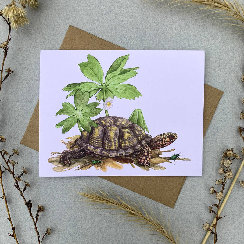 Card Set - 12 Woodland Critters On Blank Recycled Cards