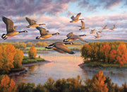 features the detailed illustration. Cloudy skies over a lake and autumnal trees featuring 14 geese migrating. 