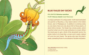 Pollinators Knowledge Cards