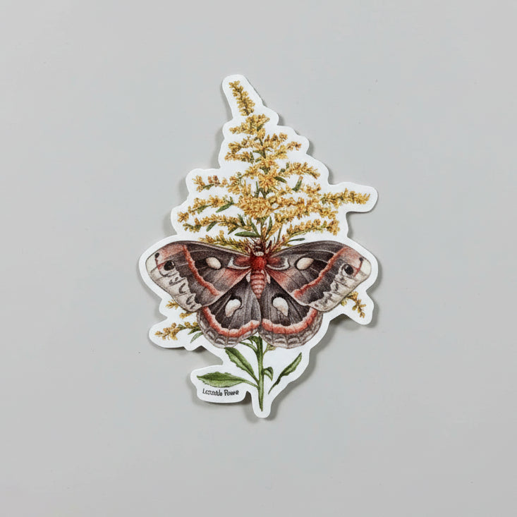 Sticker - Cecropia Moth On Goldenrod