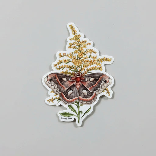 Sticker - Cecropia Moth On Goldenrod