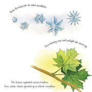 Out of School and Into Nature: The Anna Comstock Story
Text and illustrations of snowflakes and leaves