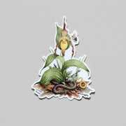 Sticker - Ring-necked Snake and Lady's Slipper Orchid