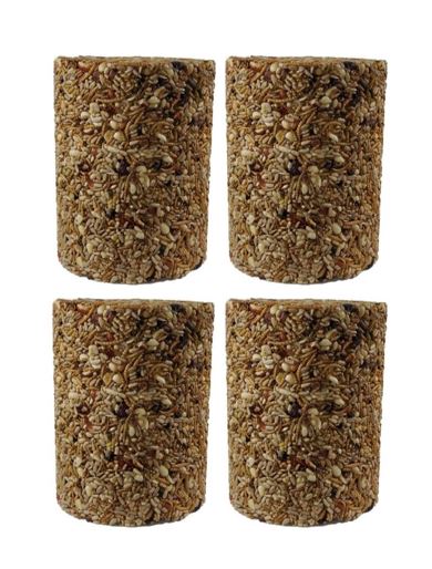 4 Pack Bugs, Nuts and Berries Seed Cylinder - Large - 3.8 lbs — Nature ...