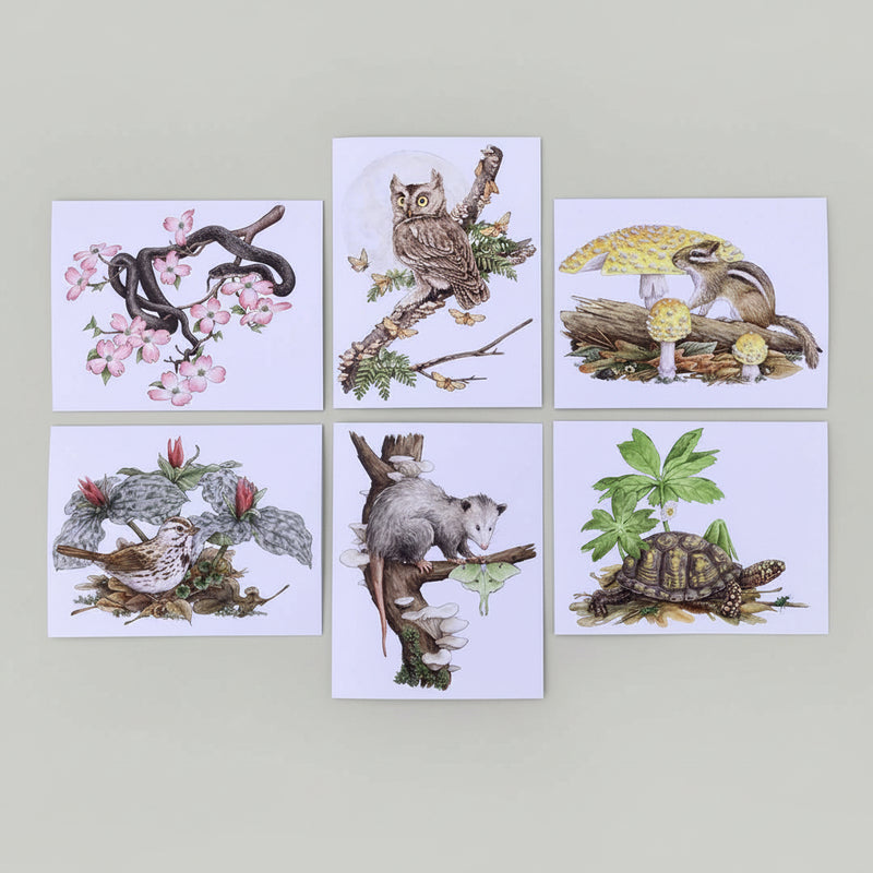Card Set - 12 Woodland Critters On Blank Recycled Cards