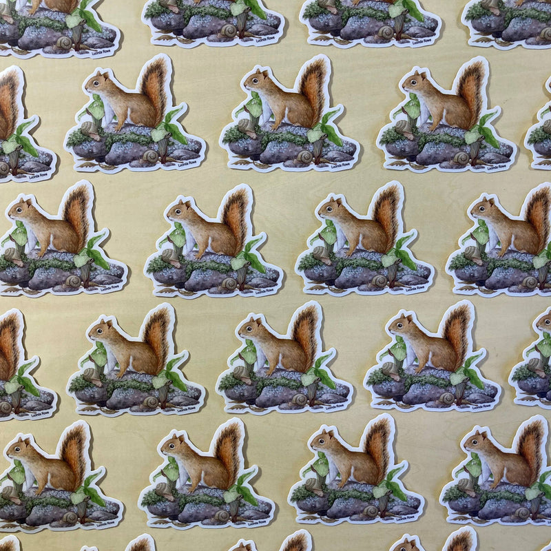Sticker - Red Squirrel with Jack-in-the-Pulpit