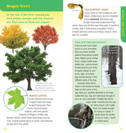 Sample page for Walk in the Woods by Emily Laber-Warren