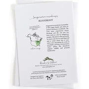 Card back with species information and range map of bloodroot plant with text and graphics on a white background