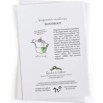 Card back with species information and range map of bloodroot plant with text and graphics on a white background
