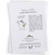 Educational text and range map for hepatica wildflower and product branding on a white background