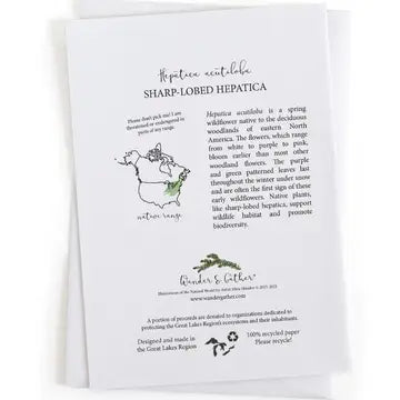 Educational text and range map for hepatica wildflower and product branding on a white background