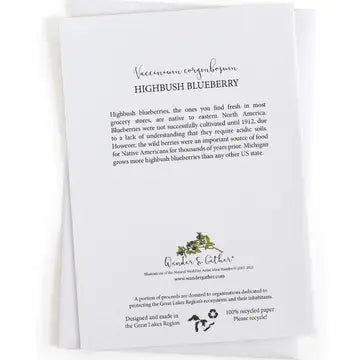 Highbush Blueberry text information and product branding on white background