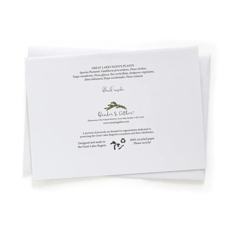 Back of Native Evergreen Plant Card