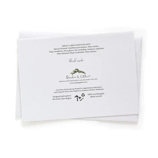 Back of Native Evergreen Plant Card